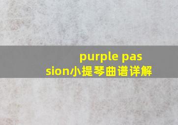 purple passion小提琴曲谱详解